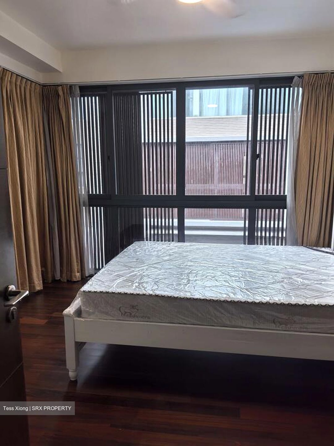 Braddell Road (D13), Terrace #504040681